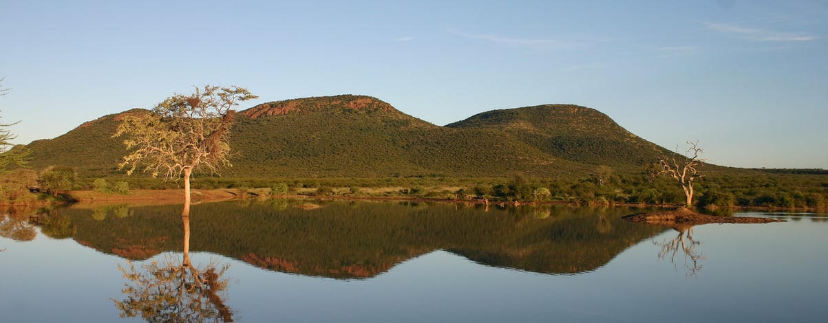water pool at Madikwe Game Reserve, South Africa.